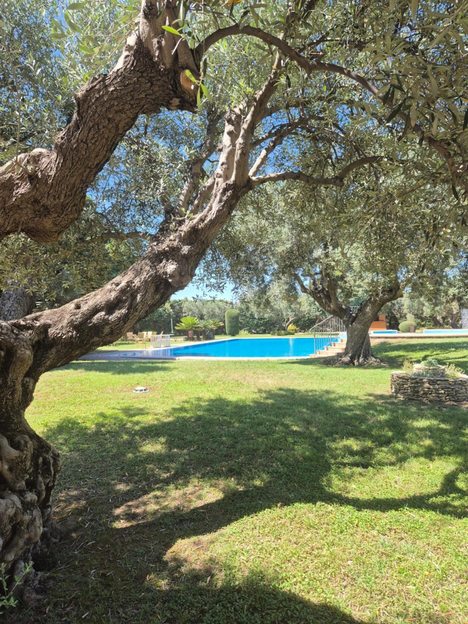 Borghetto Club
